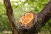 开云体育入口-拉梅洛魔术师再现！精准调度撕破防线，公牛团队篮球完美压制浙江猛攻