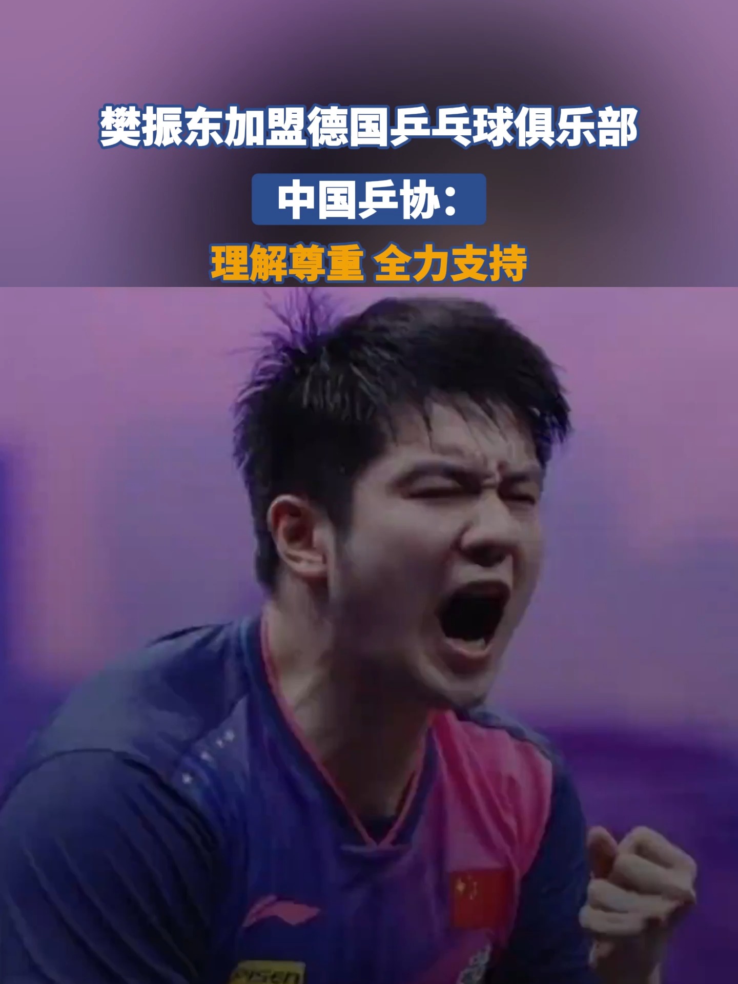 关于韩国乒乓球队强势德国乒乓球队，樊振东制霸全场的信息