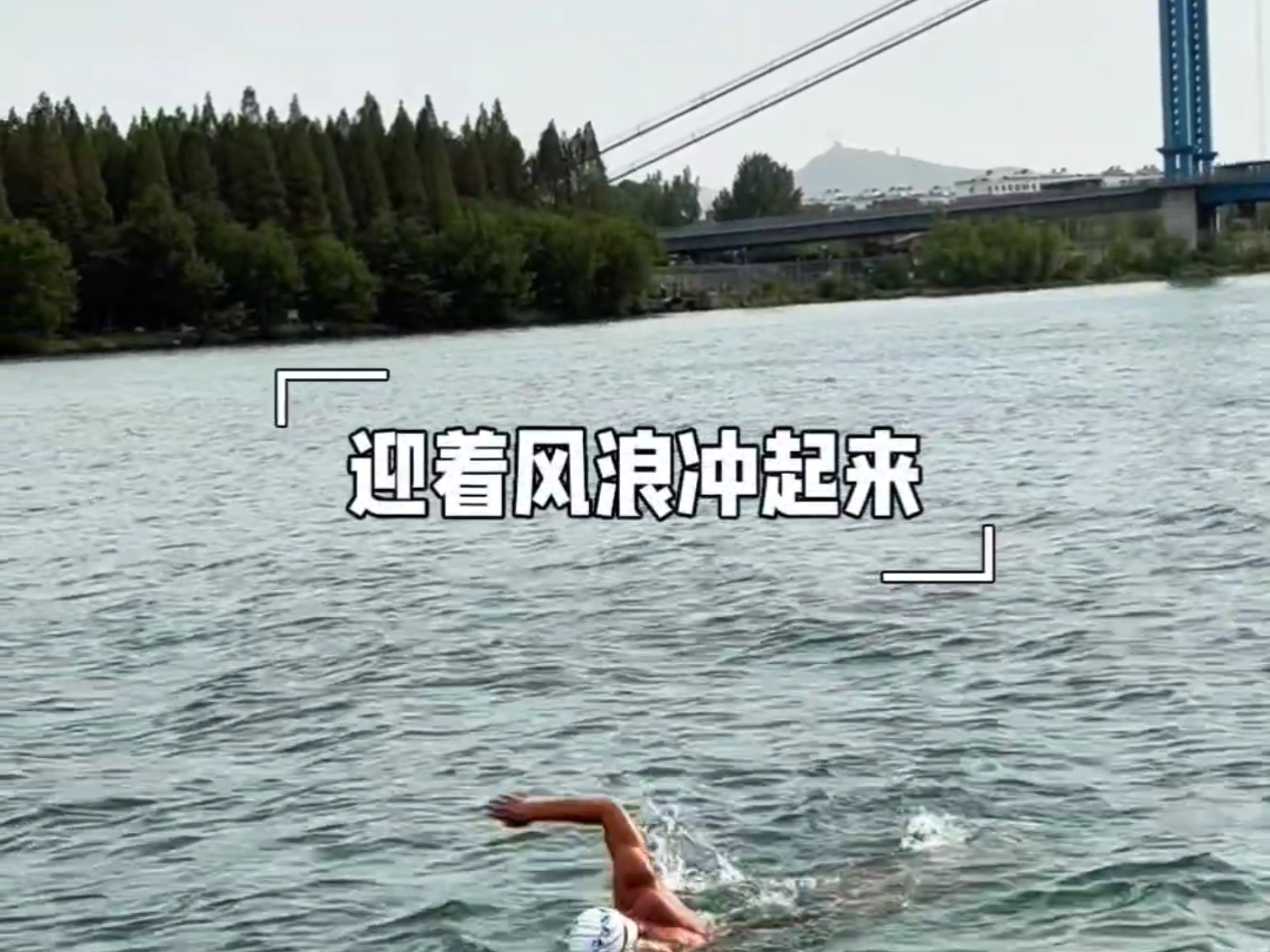 包含全球热议！游泳场外八卦引关注的词条