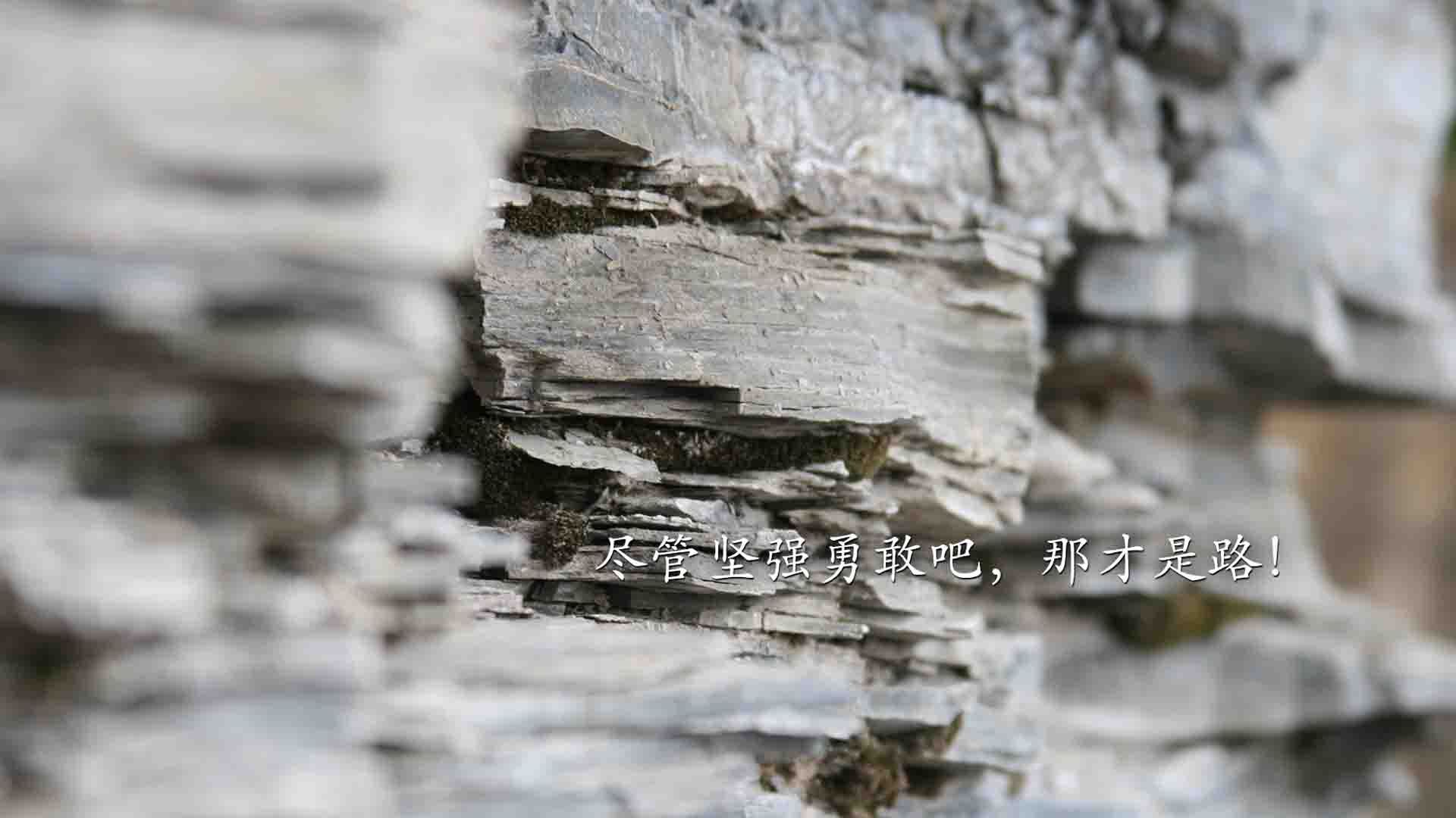 星月弯刀破坚盾,富安健洋一球定乾坤,土耳其巅峰对决胜苏格兰