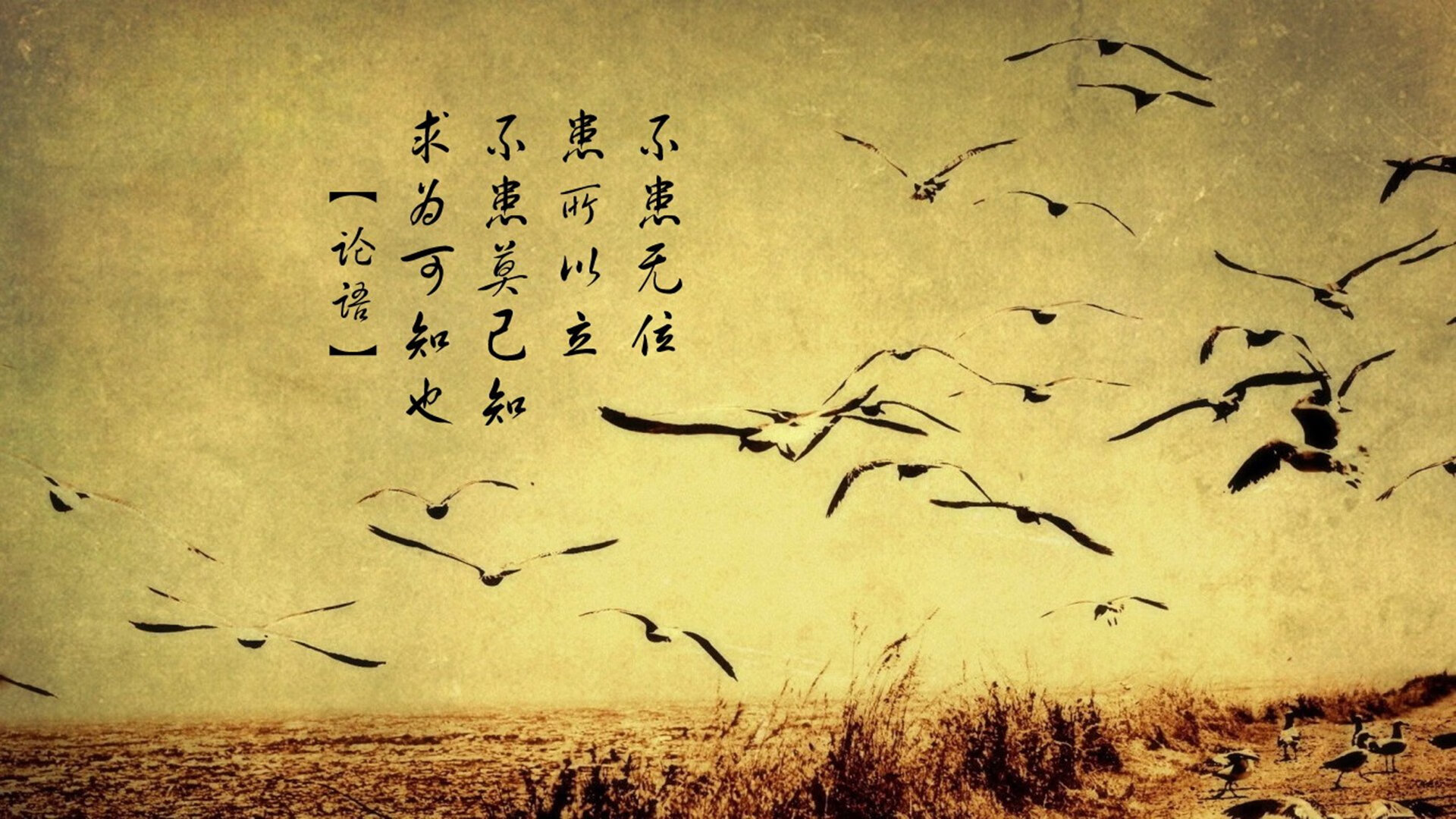 浙江队对阵热火，德罗赞攻防两端的史诗级统治