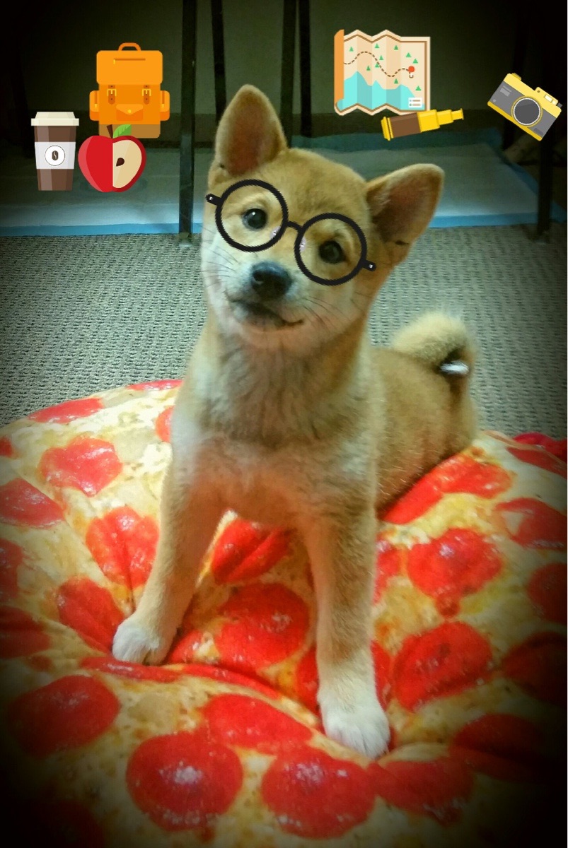 雷霆万钧压魔术，君临东决詹姆斯