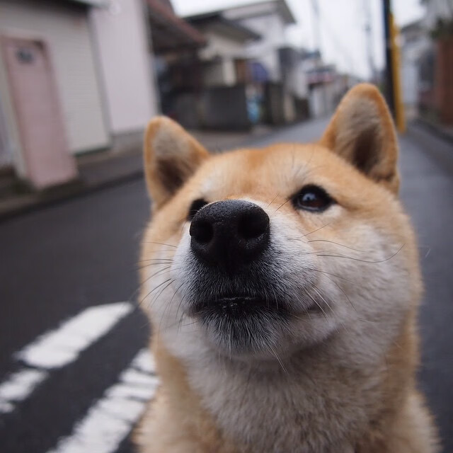 打破次元壁！范弗利特三分里程碑之夜，浙江男篮用中式智慧绝杀NBA热火