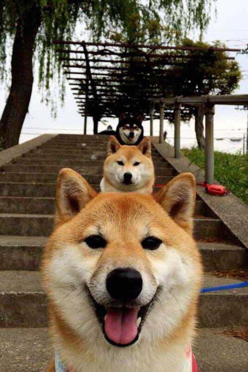 穆勒之夜，欧冠半决赛的魔法师与无声的领袖