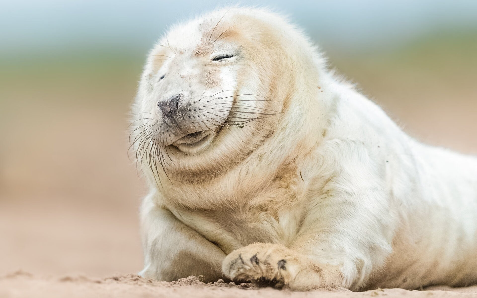 杀鸡用牛刀！对阵上海队克莱再现冠军级投射，他向世界宣告，我仍是那个顶级杀手