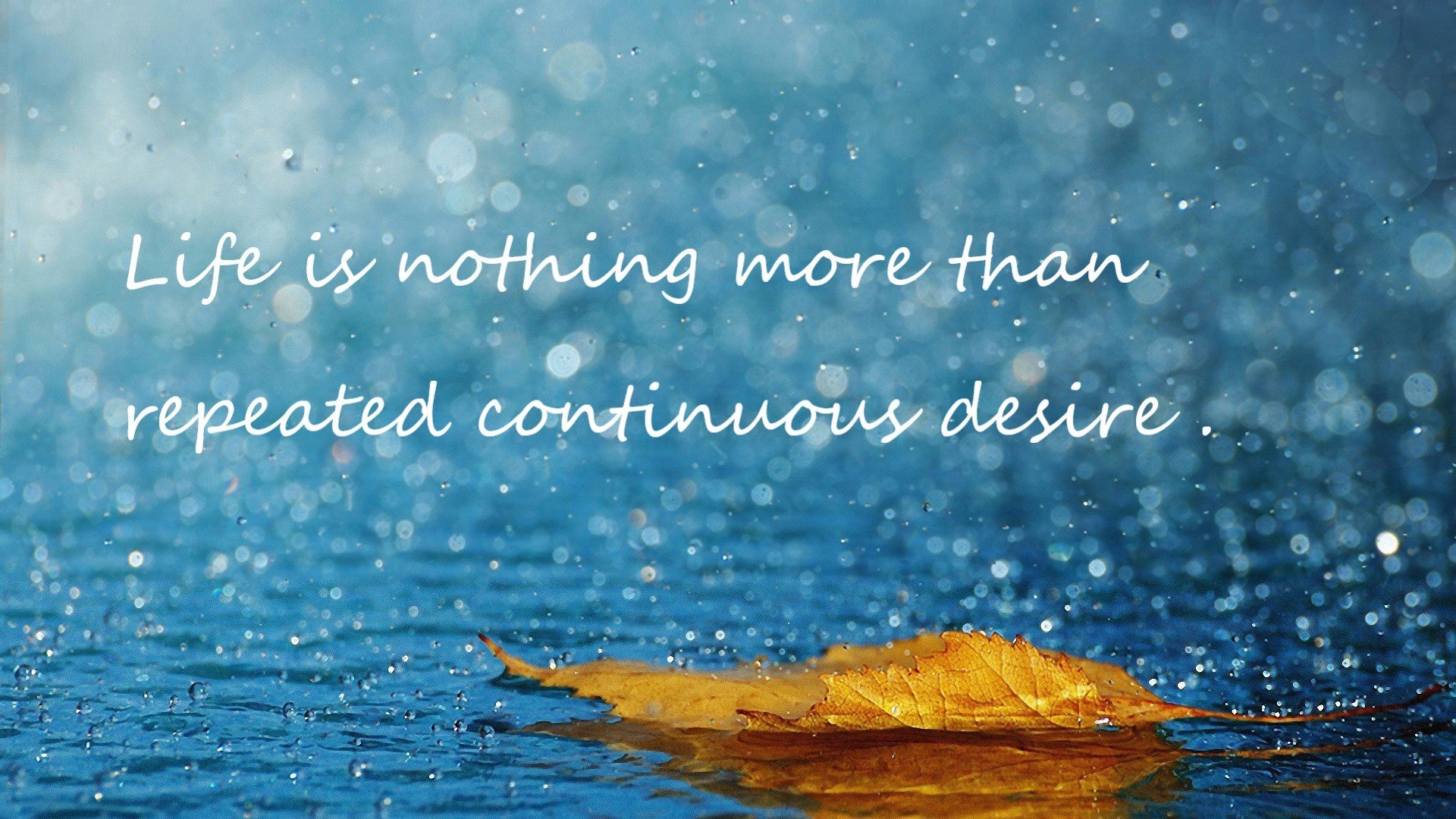 年度焦点之战，火箭队力斩山西队，赛场燃爆激情