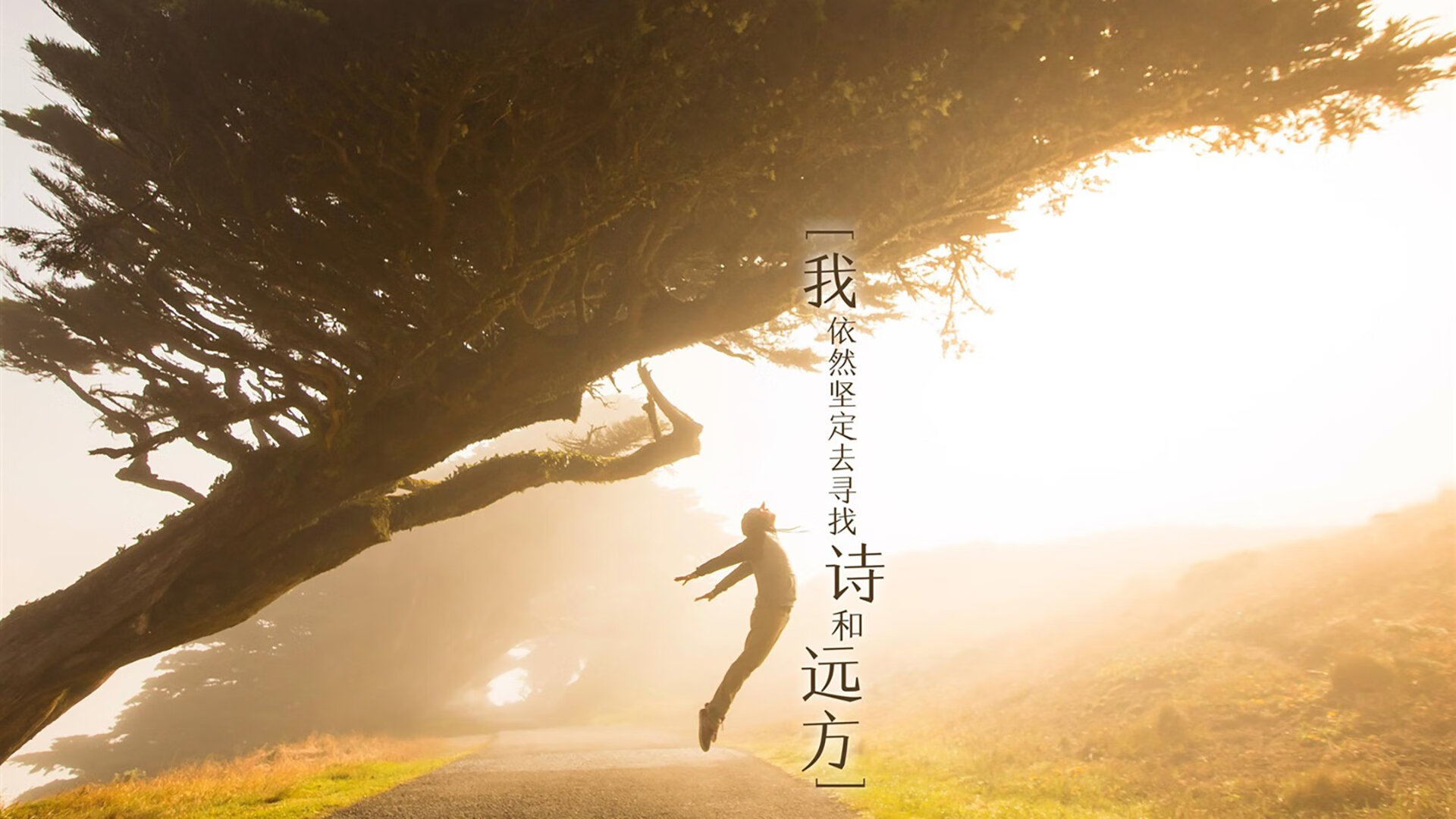 亚平宁烽火与迈阿密热浪，当意甲焦点战遇上热火全面压制