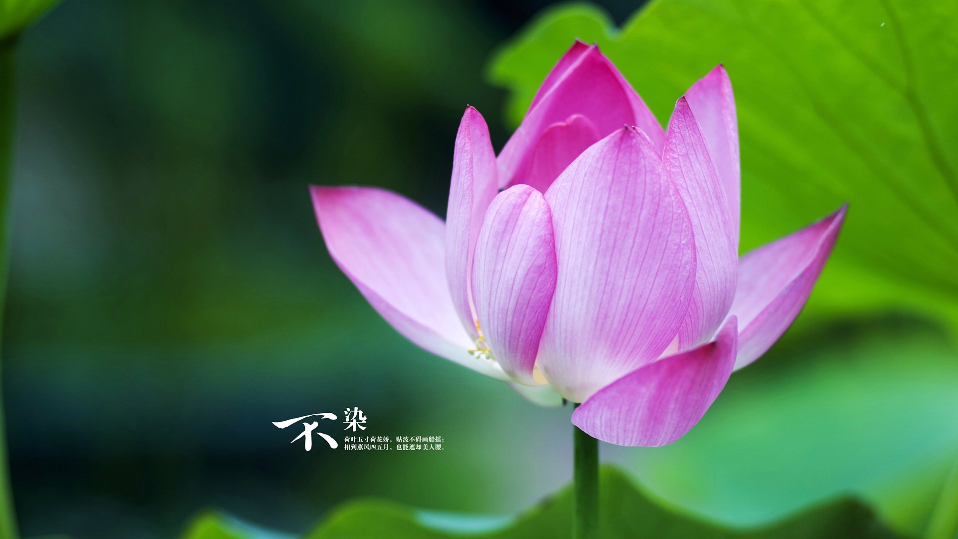 亚平宁烽火与迈阿密热浪，当意甲焦点战遇上热火全面压制